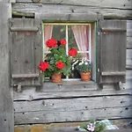 Anneke *