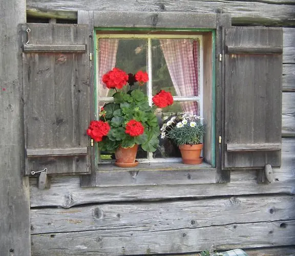 Anneke *